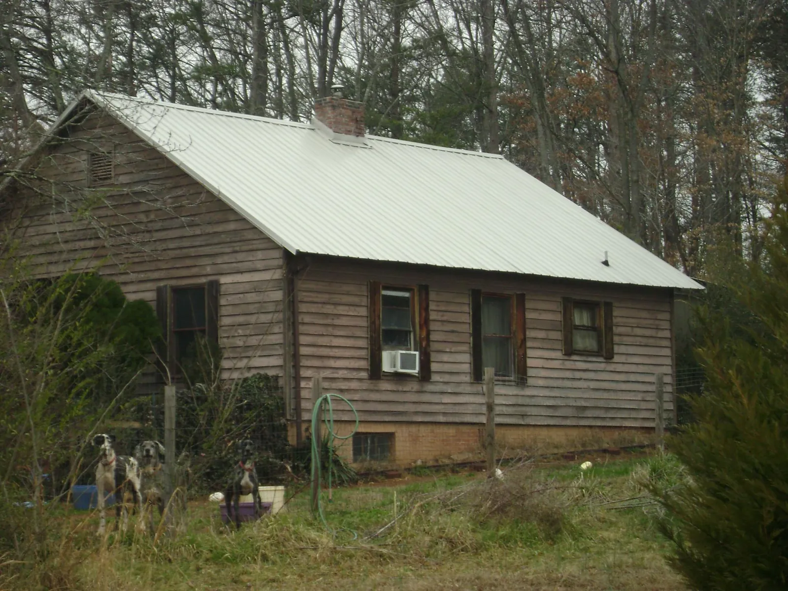 White metal roof on an old wood sided farmhouse, from a Asphalt Shingle Roof Repair job in Spring Arbor